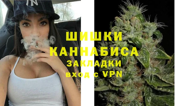 ГАЛЛЮЦИНОГЕННЫЕ ГРИБЫ Краснослободск
