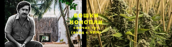 ГАЛЛЮЦИНОГЕННЫЕ ГРИБЫ Краснослободск