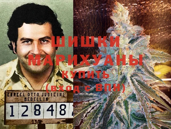 PSILOCYBIN Куйбышев