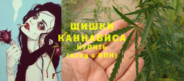 крисы Ижевск