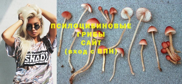 твердый Краснотурьинск