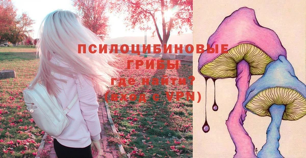 ГАЛЛЮЦИНОГЕННЫЕ ГРИБЫ Краснослободск