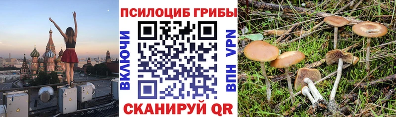 как найти наркотики  Миньяр  Псилоцибиновые грибы мухоморы 